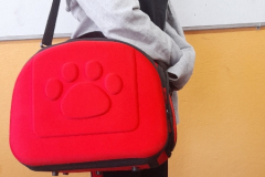 Dzień bez plecaka 2022