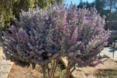 Erasmus + - szkolenie na Cyprze