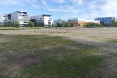 CLIL trough innovative digital tools and effecteiv non-formal education methods