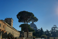 Erasmus + Rzym – 29.11 -03.12.2021r.