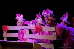 gliwice, fot.michal buksa