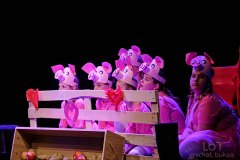 gliwice, fot.michal buksa