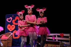 gliwice, fot.michal buksa