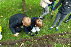 Jesień w ogródku szkolnym