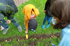 Jesień w ogródku szkolnym