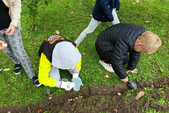 Jesień w ogródku szkolnym