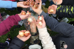 Jesień w ogródku szkolnym