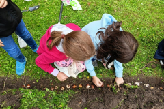 Jesień w ogródku szkolnym