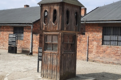 Ósmoklasiści w Muzeum Auschwitz - Birkeanu..