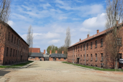 Ósmoklasiści w Muzeum Auschwitz - Birkeanu..