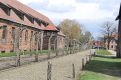 Ósmoklasiści w Muzeum Auschwitz - Birkeanu..