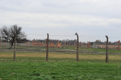 Ósmoklasiści w Muzeum Auschwitz - Birkeanu..