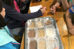 Gospodarstwo Agroturystyczne RANCZO