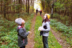 Wycieczka do lasu klas 1 i 2