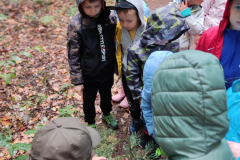 Wycieczka do lasu klas 1 i 2