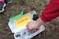 Wycieczka do lasu klas 1 i 2