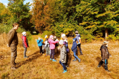 Wycieczka do lasu klas 1 i 2