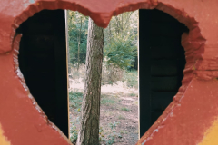 Wycieczka do lasu klas 1 i 2