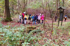 Wycieczka do lasu klas 1 i 2